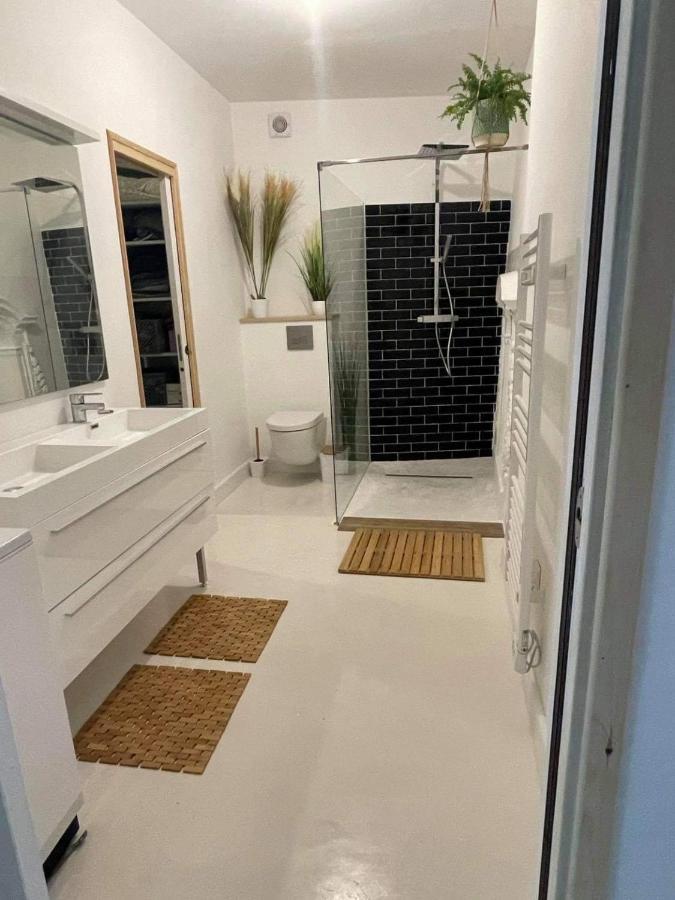 Appartement Au Centre De La Venise Provencale L'Isle-sur-la-Sorgue Bagian luar foto